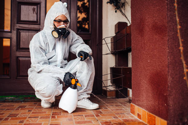Reliable Cockroach Control contractor in Aiea, HI by Nex Pest Control